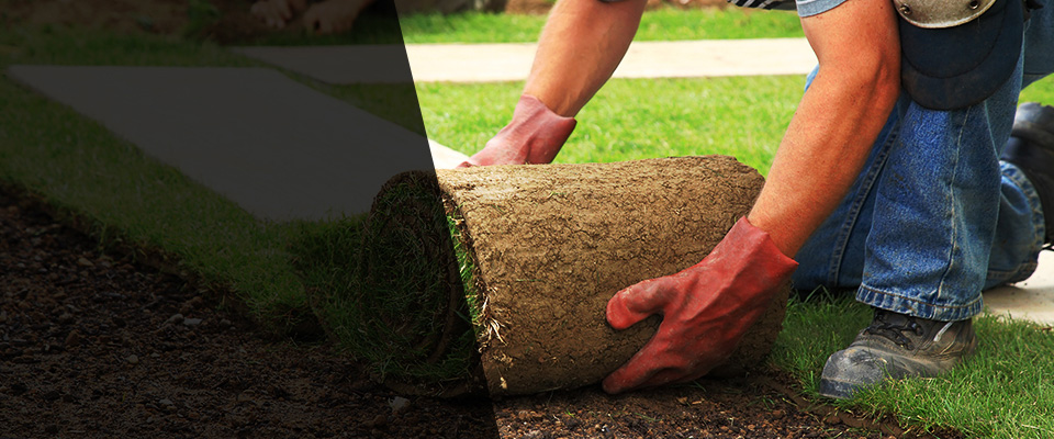 Tularosa Landscapers